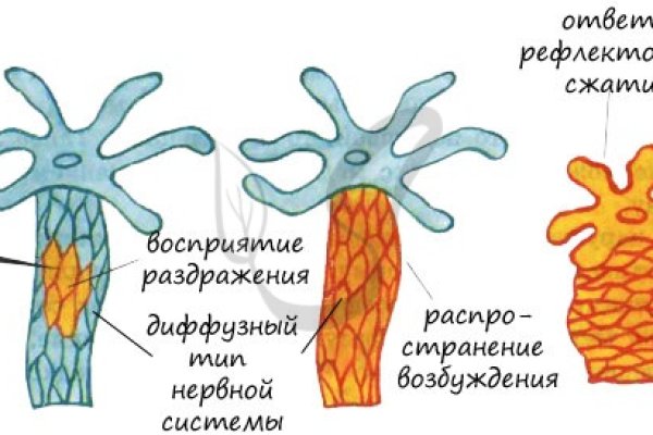 Сайт тор кракен