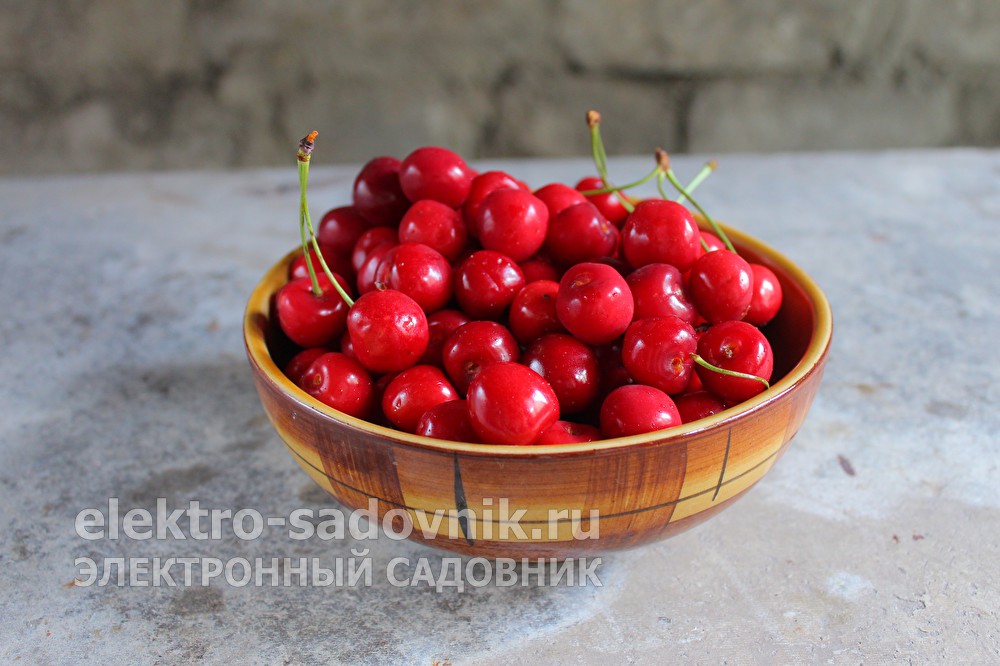 Кракен сайт kr2web