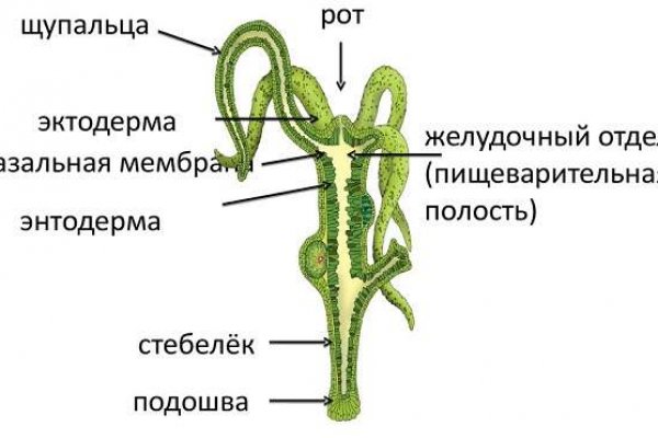 Кракен даркшоп